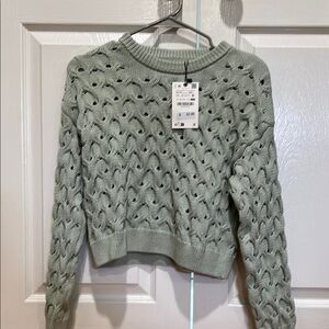 Women's Sage Green Sweater